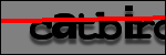 Testo da Identificare