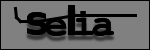 Testo da Identificare