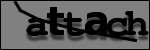 Testo da Identificare