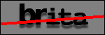 Testo da Identificare