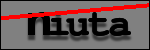 Testo da Identificare