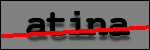 Testo da Identificare
