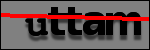 Testo da Identificare