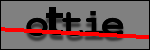 Testo da Identificare