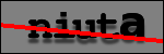 Testo da Identificare