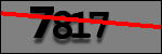 Testo da Identificare