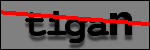 Testo da Identificare