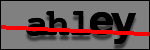 Testo da Identificare