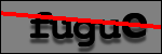 Testo da Identificare