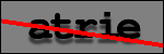 Testo da Identificare