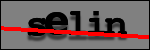 Testo da Identificare