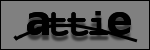 Testo da Identificare