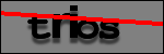 Testo da Identificare