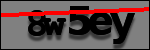 Testo da Identificare