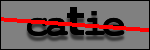 Testo da Identificare