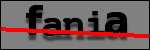 Testo da Identificare