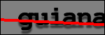 Testo da Identificare
