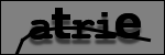 Testo da Identificare