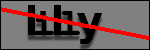 Testo da Identificare