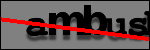 Testo da Identificare