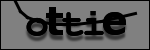 Testo da Identificare