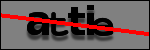 Testo da Identificare