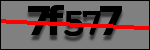 Testo da Identificare