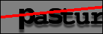 Testo da Identificare