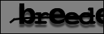 Testo da Identificare