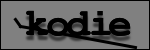Testo da Identificare