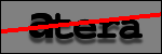 Testo da Identificare